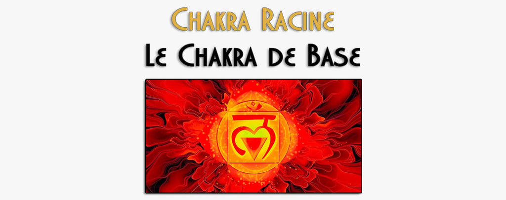 Chakra Racine : Le Chakra de Base